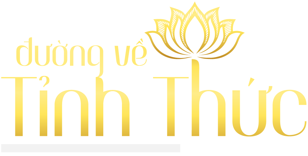 Đường về tỉnh thức
